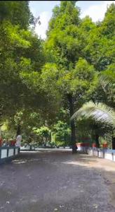 a park with trees and a person sitting on a bench at ETERNA Homestay Rackad in Mūvattupula