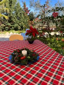 Κήπος έξω από το B&B Villa Mediterranea with parking space