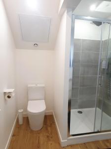 a bathroom with a toilet and a glass shower at Hyper centre, quartier du port in Audierne +22 photos