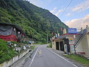 Nespecifikovaný výhled na hory nebo výhled na hory při pohledu z ubytování v soukromí + 3 fotografie