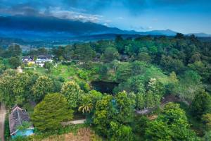 an overhead view of a forest with a house and trees at The Moon Rabbit Resort Pai in Pai