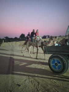 Επισκέπτες που μένουν στο raju shing desert safari +16 φωτογραφίες