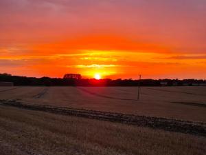 einen Sonnenuntergang auf einem Feld mit Sonnenuntergang in der Unterkunft Moglett Cottage in Fincham