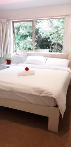 Ένα ή περισσότερα κρεβάτια σε δωμάτιο στο Nice room for you