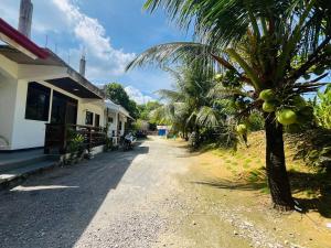 Nabolaget omkring pensionatet eller i nærheden