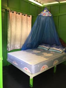a bed in a green room with a canopy at Baan Suan Coconut Ko Yao Noi in Ko Yao Noi