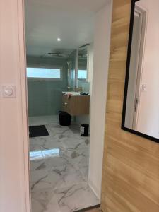 a bathroom with a marble floor and a mirror at Gîte du Haut-Plantais in Saint-Aubin-de-Terregatte +11 photos