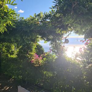 a view from the garden through the trees at Villa Cokkinis in Varazze