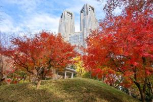 Aed väljaspool majutusasutust Shinjuku West Park Inn Hanabi House