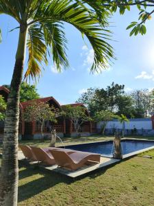 une rangée de chaises longues à côté d'un palmier dans l'établissement Homestay Retreat, à Uluwatu