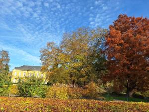 ファルケンブルグにあるGastsuite in Valkenburg aan de Geulの建物前の木々