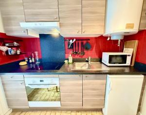 eine kleine Küche mit Spüle und Mikrowelle in der Unterkunft Studio chaleureux avec vue plein sud imprenable ! in Villard-de-Lans