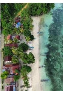an aerial view of a beach next to the ocean at "Saporkren Homestay Raja Ampat" in Tapokreng