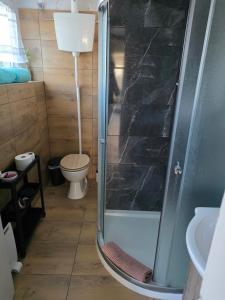 a bathroom with a shower with a toilet and a sink at Casa a 4 zampe in Gorizia +23 photos