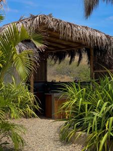 eine Hütte mit einem Strohdach und einigen Pflanzen in der Unterkunft El Cottage de Vaco in Canoas