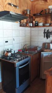 Kuchyň nebo kuchyňský kout v ubytování cabaña vista hermosa neltume