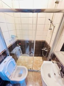 a bathroom with a toilet and a sink at Taksim Historic House hotel in Istanbul