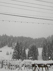 Billede fra billedgalleriet på Casa Aurici Vatra Dornei i Vatra Dornei