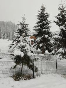Billede fra billedgalleriet på Casa Aurici Vatra Dornei i Vatra Dornei