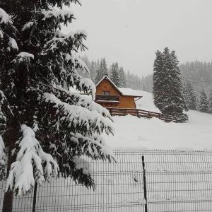 een huis bedekt met sneeuw voor een hek bij Casa Aurici Vatra Dornei in Vatra Dornei