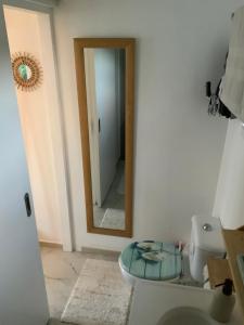 a bathroom with a toilet and a mirror at Maison des Brin - Lorient Camaruche in Quartier de Lorient +25 photos