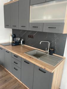 a kitchen with a sink and a wooden counter top at Casa Elena, Ocna Mureș in Ocna-Mureşului