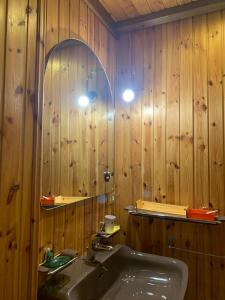 a bathroom with wooden walls and a sink and a mirror at Appartamento Magico Abete in Bellamonte
