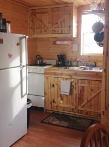 Kuchyň nebo kuchyňský kout v ubytování Secluded Cabin on Organic Working Farm in the Ozarks of Northern Arkansas