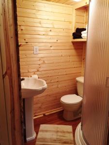 Koupelna v ubytování Secluded Cabin on Organic Working Farm in the Ozarks of Northern Arkansas