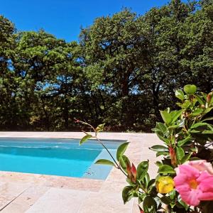 una vista di una piscina con un fiore rosa di Gîte En Gélion a Sarrant