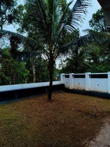 Κήπος έξω από το Camelia HomeStay