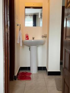 een badkamer met een wastafel en een spiegel bij Engra Suites in Nakuru