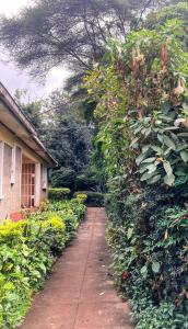 a garden path next to a house with a hedge at Studio Rosslyn Close in Nairobi