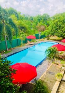 Bazén v ubytování Saman Resort Yala nebo v jeho okolí