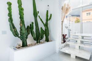 Fotografie z fotogalerie ubytování New Villa Los Olivos v destinaci Adeje