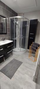 une salle de bain avec douche et lavabo dans l'établissement 102 Duplex Familial de Charme avec Colombages en Immersion Historique et Confort au Cœur de la Ville, à Bourges