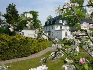 an apple tree in front of a white house at Rørvig Centret in Rørvig