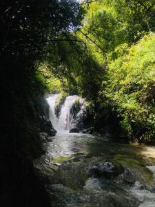 einem Wasserfall inmitten eines Flusses mit Bäumen in der Unterkunft River Side Gorilla Resort Mussoorie in Masuri