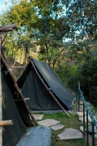 a tent that is sitting on the grass at Green River Camp in Rishīkesh