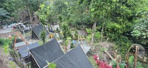 an overhead view of a garden with trees at Waterfall Camping A Hidden Paradise near Rishikesh in Rishīkesh