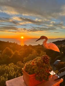 een vogel die bovenop een plant zit met de zonsondergang bij casa lella home in Recco