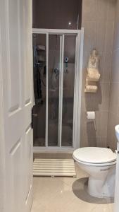 a bathroom with a shower and a toilet in it at Dalebrook Sea-Facing Apartment in Kalk Bay in St James