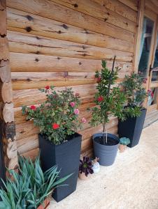 Fotografie z fotogalerie ubytování Dedin Konak v destinaci Mokra Gora