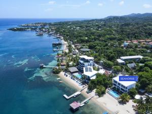 Φυσικό τοπίο κοντά σε αυτό το διαμέρισμα