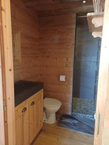 Ένα μπάνιο στο GITE COSY "LE CLAIRBIER" AVEC CHEMINEE ET JACUZZI à St Laurent en Grandvaux +22 φωτογραφίες