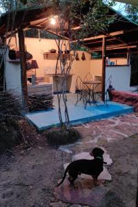 Ein schwarzer Hund steht auf einem Stein in einem Garten in der Unterkunft Cabana Candeia in Palmeiras