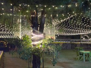 Zahrada ubytování The Gooseneck Hotel and Restaurant