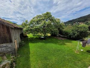 an overhead view of a yard with a tree at Gîte cosy dans les Vosges in Rochesson