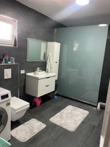 コソフスカ・ミトロビツァにあるLuxury Homeのトイレ、洗面台、鏡のあるバスルーム