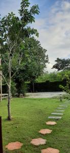 Příroda nedaleko rezortu